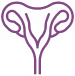 Endometrial Development