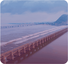 Nellore 