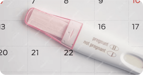 Steps to create an ovulation calendar