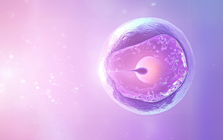 IVF (In Vitro Fertilization)